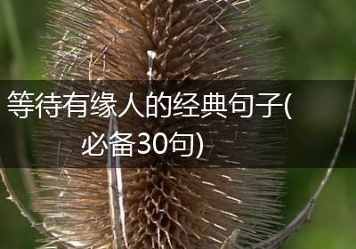 等待有缘人的经典句子(必备30句)