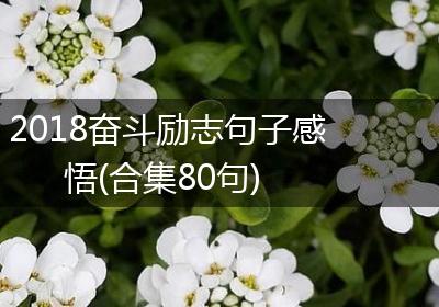 2018奋斗励志句子感悟(合集80句)