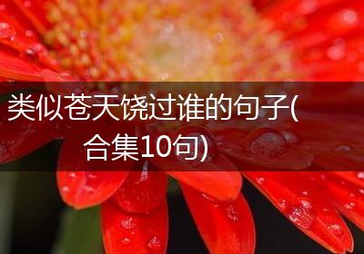 类似苍天饶过谁的句子(合集10句)