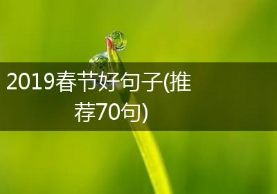 2019春节好句子(推荐70句)