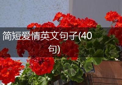 简短爱情英文句子(40句)