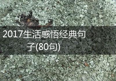 2017生活感悟经典句子(80句)