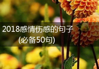 2018感情伤感的句子(必备50句)