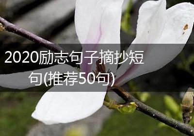 2020励志句子摘抄短句(推荐50句)