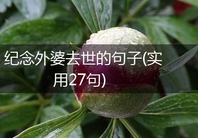 纪念外婆去世的句子(实用27句)