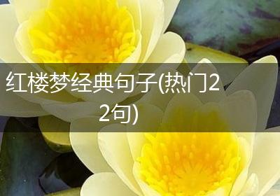 红楼梦经典句子(热门22句)
