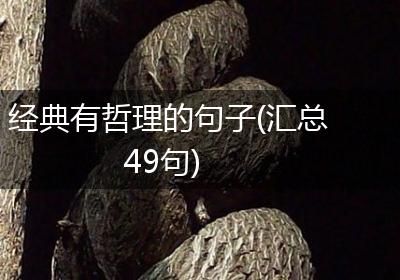 经典有哲理的句子(汇总49句)