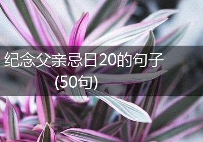 纪念父亲忌日20的句子(50句)