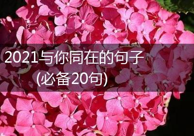 2021与你同在的句子(必备20句)
