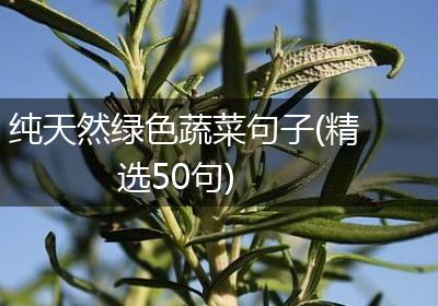 纯天然绿色蔬菜句子(精选50句)