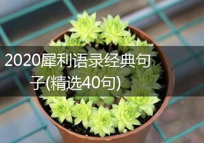 2020犀利语录经典句子(精选40句)