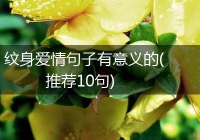 纹身爱情句子有意义的(推荐10句)