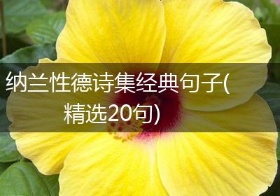 纳兰性德诗集经典句子(精选20句)