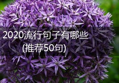 2020流行句子有哪些(推荐50句)