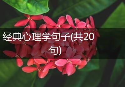经典心理学句子(共20句)
