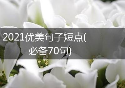 2021优美句子短点(必备70句)