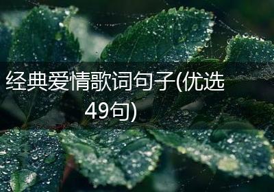 经典爱情歌词句子(优选49句)