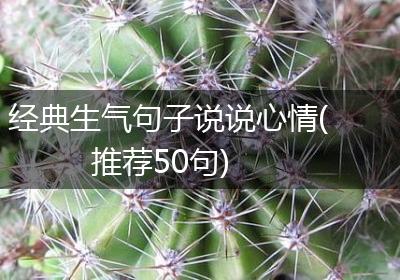 经典生气句子说说心情(推荐50句)