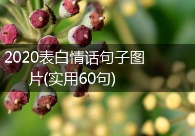 2020表白情话句子图片(实用60句)