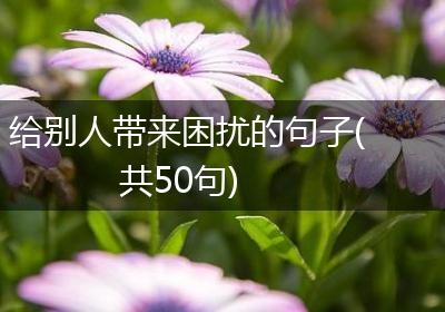 给别人带来困扰的句子(共50句)