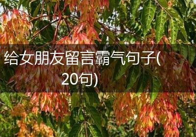 给女朋友留言霸气句子(20句)
