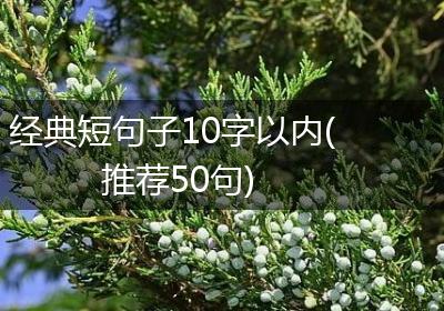 经典短句子10字以内(推荐50句)