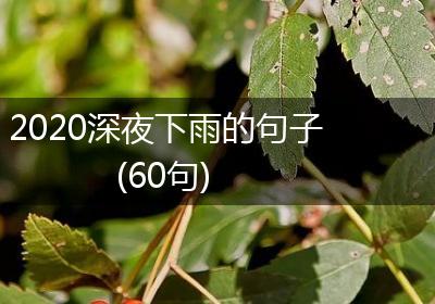 2020深夜下雨的句子(60句)