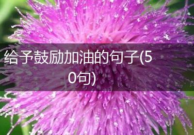 给予鼓励加油的句子(50句)