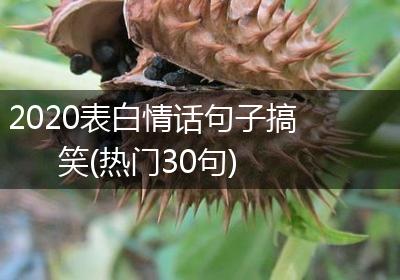 2020表白情话句子搞笑(热门30句)