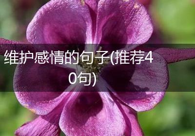 维护感情的句子(推荐40句)