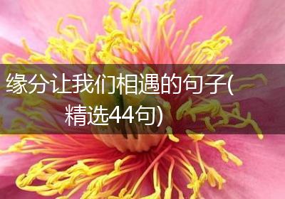 缘分让我们相遇的句子(精选44句)