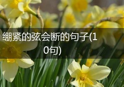绷紧的弦会断的句子(10句)