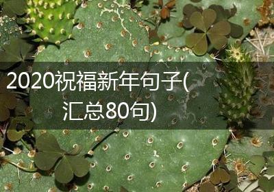 2020祝福新年句子(汇总80句)