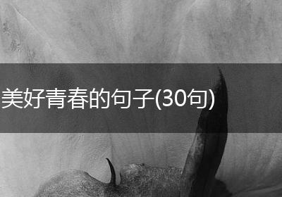 美好青春的句子(30句)