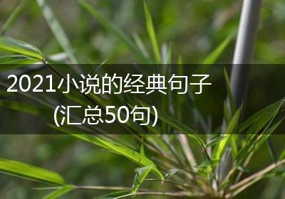 2021小说的经典句子(汇总50句)
