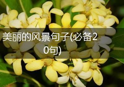 美丽的风景句子(必备20句)
