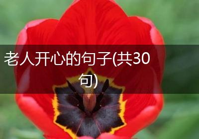老人开心的句子(共30句)