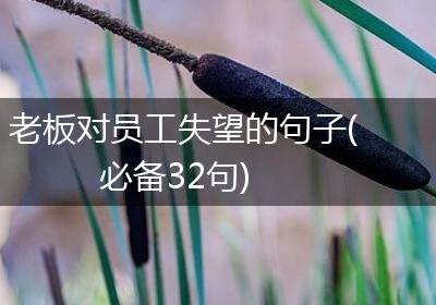 老板对员工失望的句子(必备32句)
