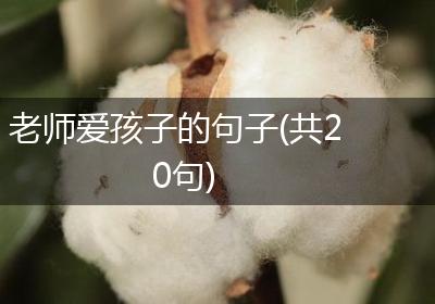 老师爱孩子的句子(共20句)