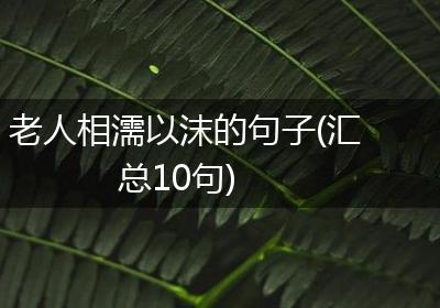 老人相濡以沫的句子(汇总10句)
