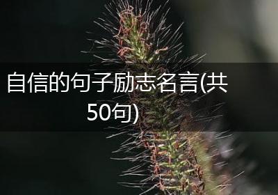 自信的句子励志名言(共50句)