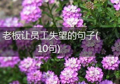 老板让员工失望的句子(10句)