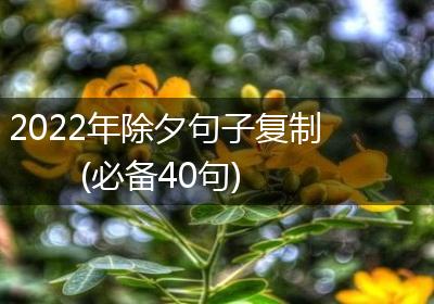 2022年除夕句子复制(必备40句)