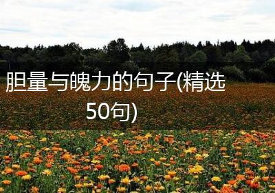 胆量与魄力的句子(精选50句)
