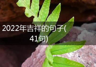 2022年吉祥的句子(41句)