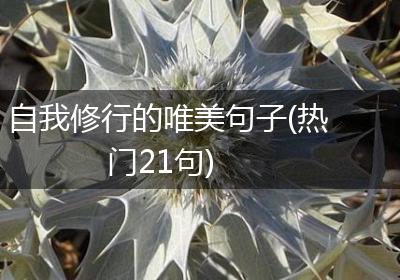 自我修行的唯美句子(热门21句)