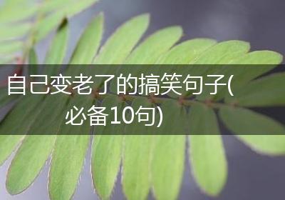 自己变老了的搞笑句子(必备10句)