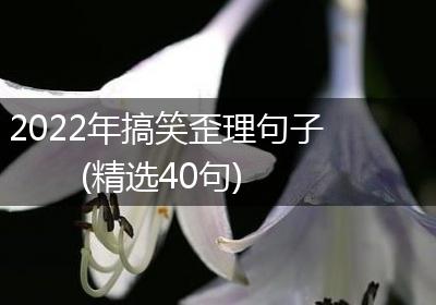 2022年搞笑歪理句子(精选40句)