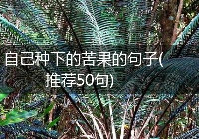 自己种下的苦果的句子(推荐50句)