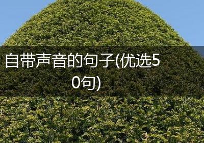 自带声音的句子(优选50句)